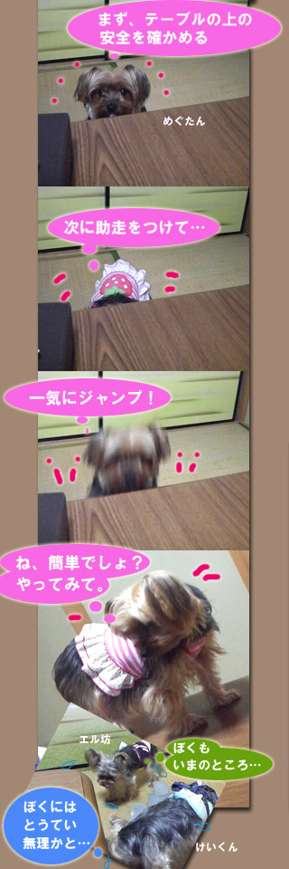 20091112-img_269351_9120572_0.jpeg