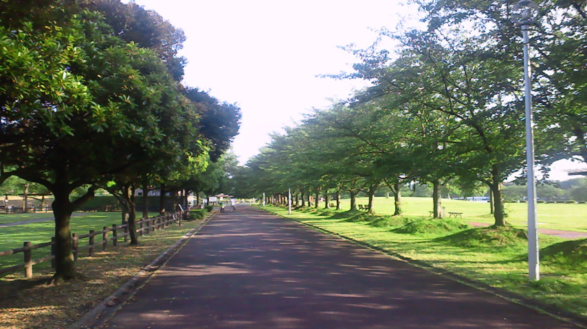 20110629-nec_5840.jpg